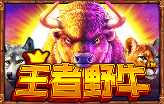 1688彩票官网app